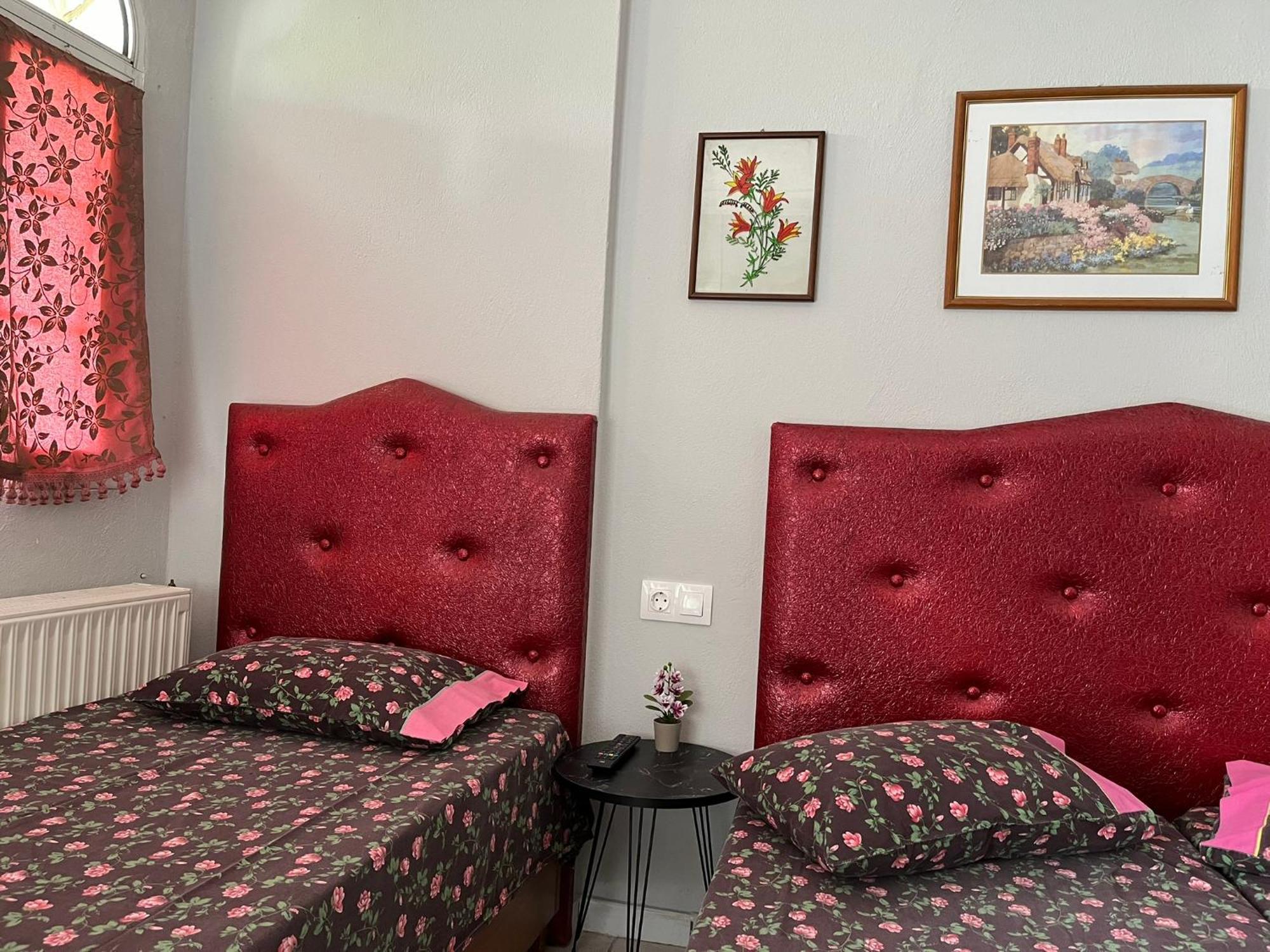 Villa Elli Olympiakí Aktí Ngoại thất bức ảnh
